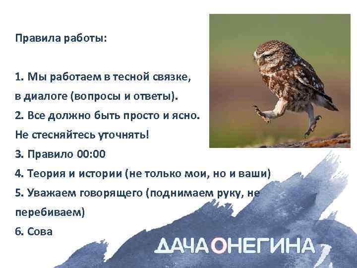 Правила работы: 1. Мы работаем в тесной связке, в диалоге (вопросы и ответы). 2.