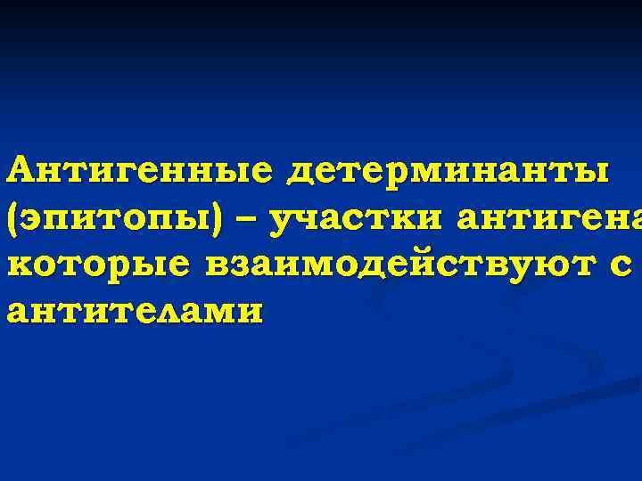 Антигенные детерминанты (эпитопы) – участки антигена которые взаимодействуют с антителами 