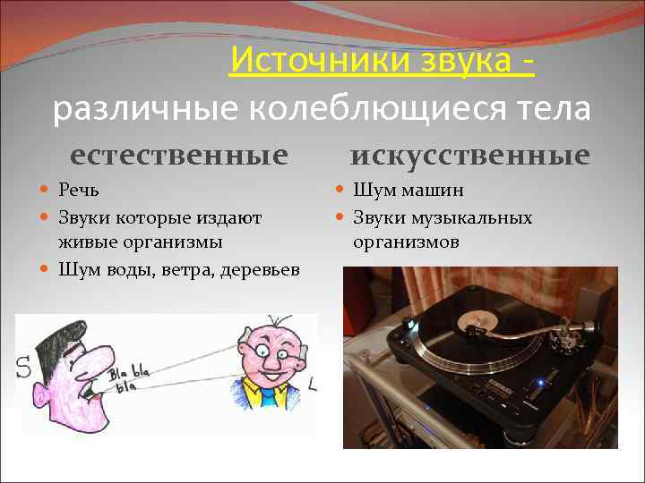  Источники звука - различные колеблющиеся тела естественные Речь Звуки которые издают живые организмы