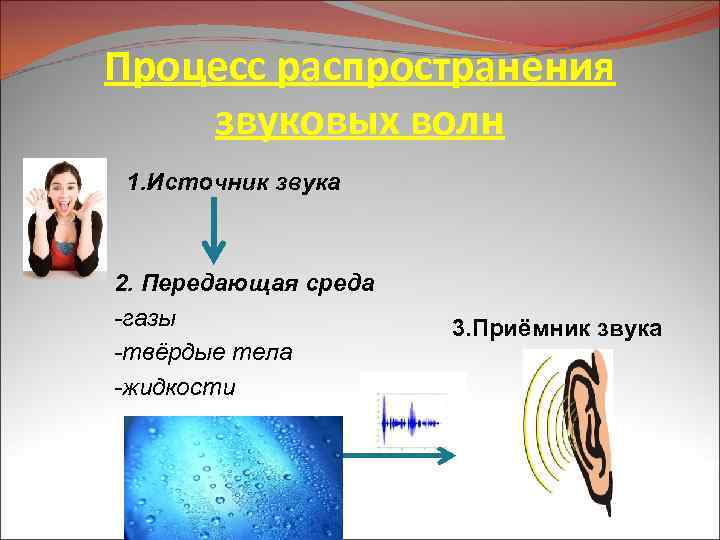 Процесс распространения звуковых волн 1. Источник звука 2. Передающая среда -газы -твёрдые тела -жидкости