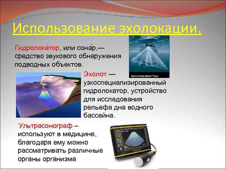 Использование эхолокации. Гидролока тор, или сона р, — средство звукового обнаружения подводных объектов. Эхолот