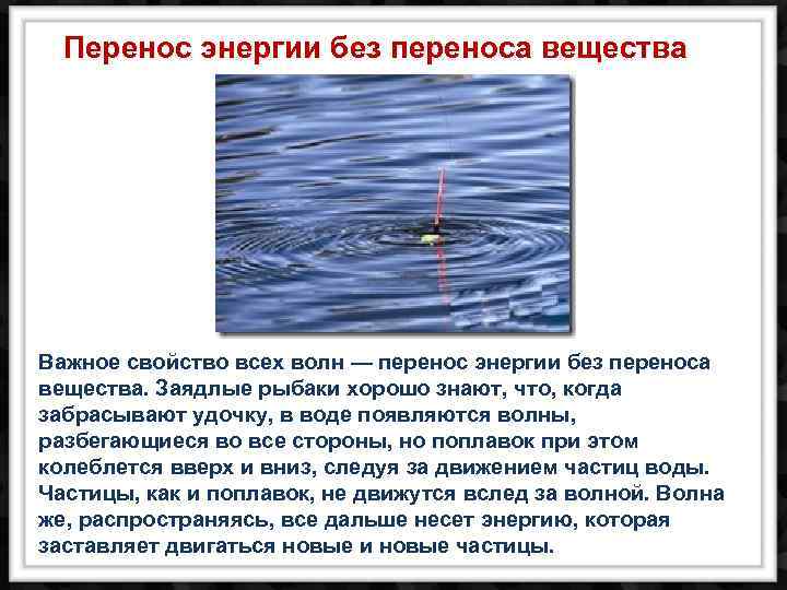 Перенос энергии без переноса вещества Важное свойство всех волн — перенос энергии без переноса