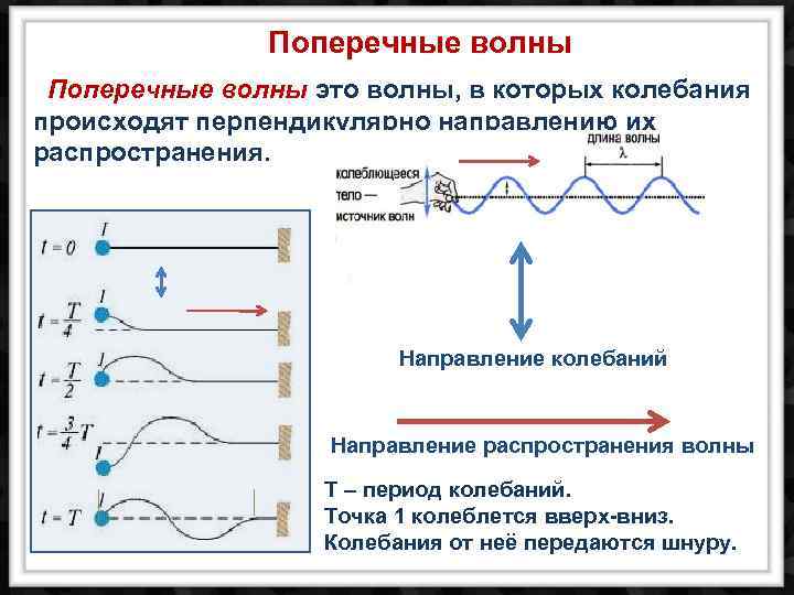 Поперечные волны это волны, в которых колебания происходят перпендикулярно направлению их распространения. Направление колебаний