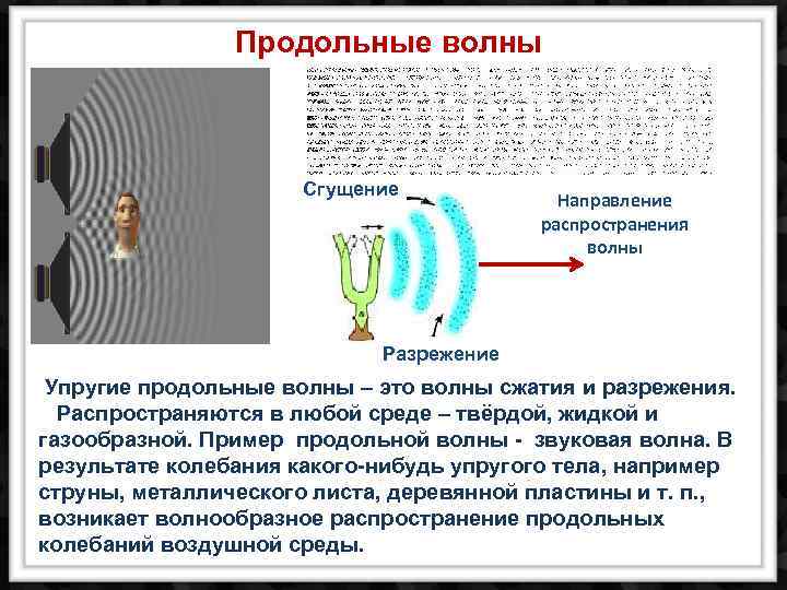 Продольные волны Сгущение Направление распространения волны Разрежение Упругие продольные волны – это волны сжатия
