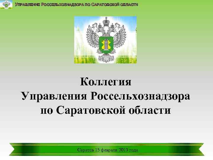 УПРАВЛЕНИЕ РОССЕЛЬХОЗНАДЗОРА ПО САРАТОВСКОЙ ОБЛАСТИ Коллегия Управления Россельхознадзора по Саратовской области Саратов 15 февраля