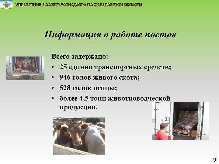 УПРАВЛЕНИЕ РОССЕЛЬХОЗНАДЗОРА ПО САРАТОВСКОЙ ОБЛАСТИ Информация о работе постов Всего задержано: • 25 единиц