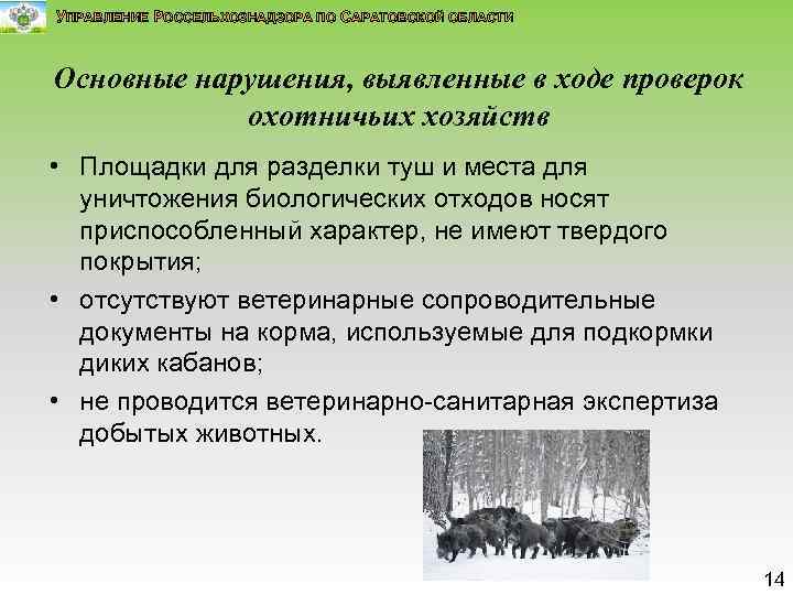 УПРАВЛЕНИЕ РОССЕЛЬХОЗНАДЗОРА ПО САРАТОВСКОЙ ОБЛАСТИ Основные нарушения, выявленные в ходе проверок охотничьих хозяйств •