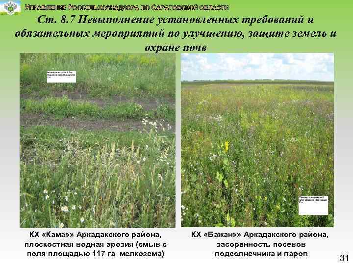 УПРАВЛЕНИЕ РОССЕЛЬХОЗНАДЗОРА ПО САРАТОВСКОЙ ОБЛАСТИ Ст. 8. 7 Невыполнение установленных требований и обязательных мероприятий