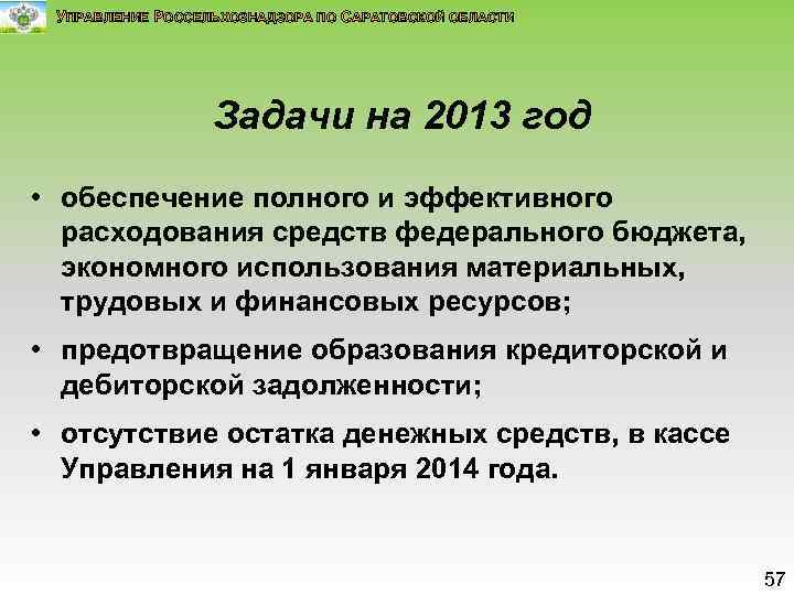 УПРАВЛЕНИЕ РОССЕЛЬХОЗНАДЗОРА ПО САРАТОВСКОЙ ОБЛАСТИ Задачи на 2013 год • обеспечение полного и эффективного