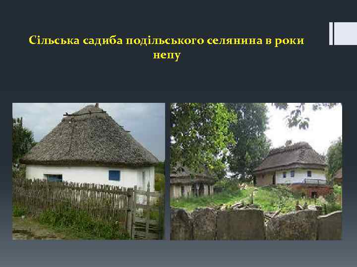 Сільська садиба подільського селянина в роки непу 