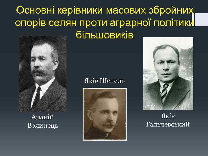 Основні керівники масових збройних опорів селян проти аграрної політики більшовиків Яків Шепель Ананій Волинець