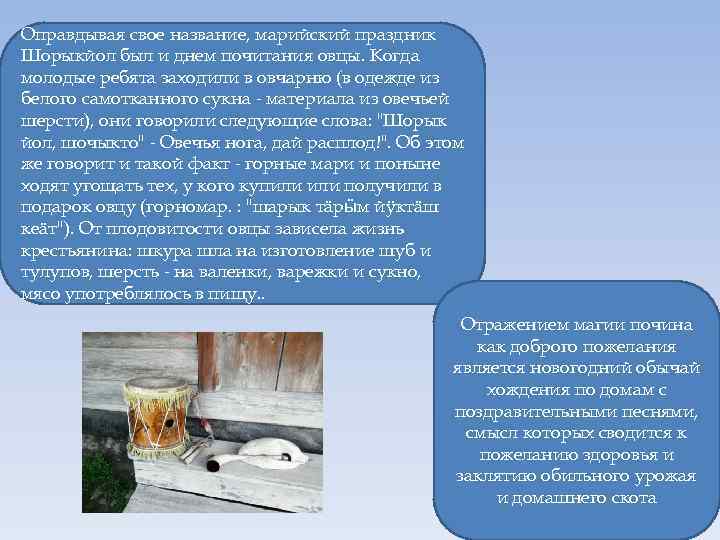 Оправдывая свое название, марийский праздник Шорыкйол был и днем почитания овцы. Когда молодые ребята