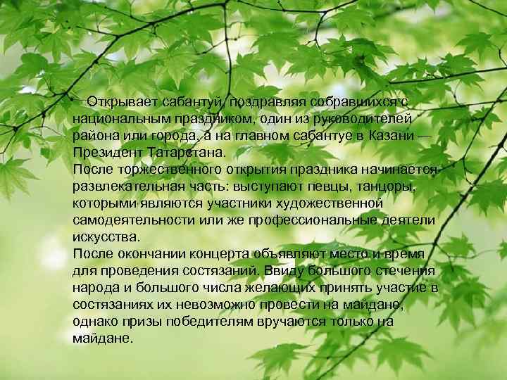  Открывает сабантуй, поздравляя собравшихся с национальным праздником, один из руководителей района или города,