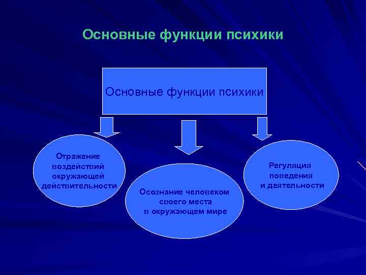 Основные функции психики Отражение воздействий окружающей действительности Осознание человеком своего места в окружающем мире