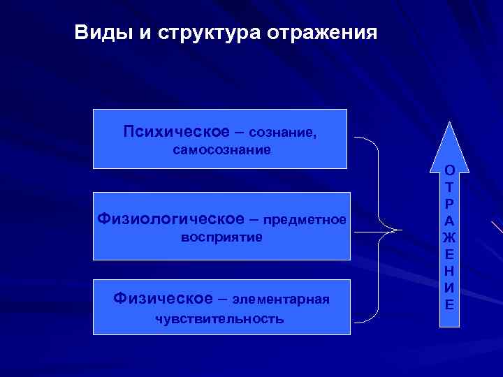 Виды и структура отражения Психическое – сознание, самосознание Физиологическое – предметное восприятие Физическое –