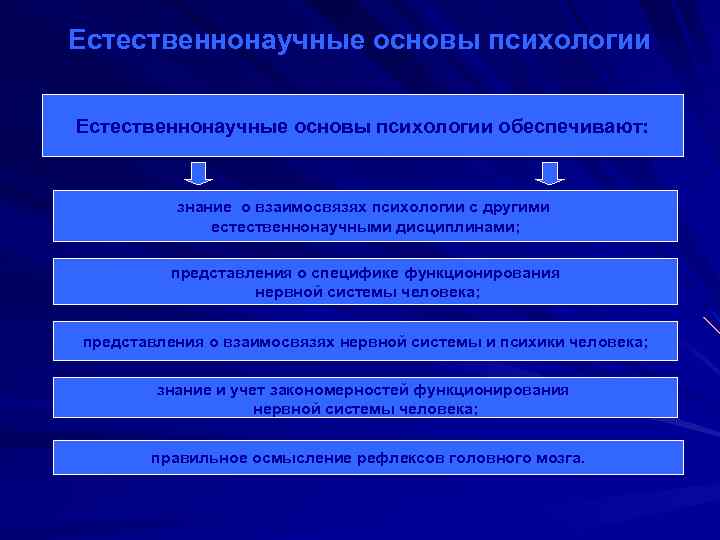 Естественнонаучные основы психологии Естесвенно-научные основы психологии обеспечивают: основы обеспечивают Естественнонаучные знание о взаимосвязях психологии