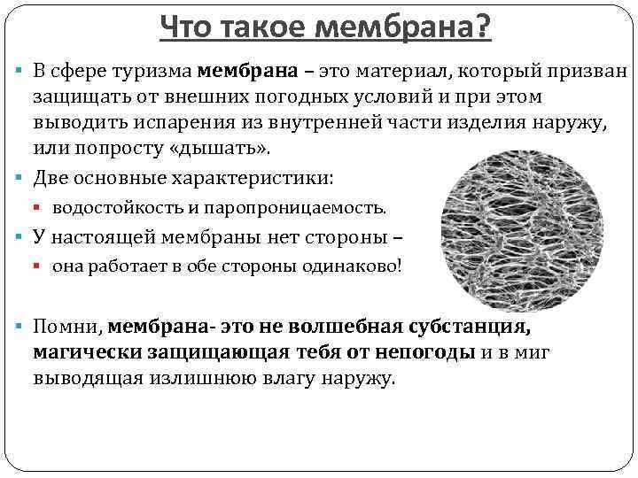 Что такое мембрана? § В сфере туризма мембрана – это материал, который призван защищать