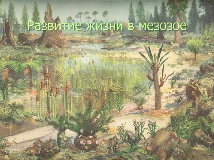 Развитие жизни в мезозое 