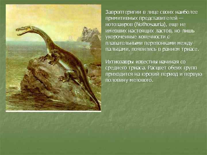 Период мезозоя сканворд 5. Нотозавр. Завроптеригии. Нотозавр динозавр. Нотозавр Триасового периода.