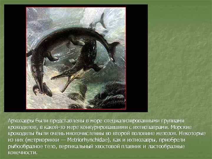 Архозавры были представлены в море специализированными группами крокодилов, в какой-то мере конкурировавшими с ихтиозаврами.