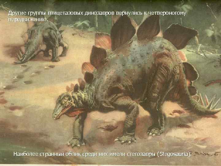 Другие группы птицетазовых динозавров вернулись к четвероногому передвижению. Наиболее странный облик среди них имели