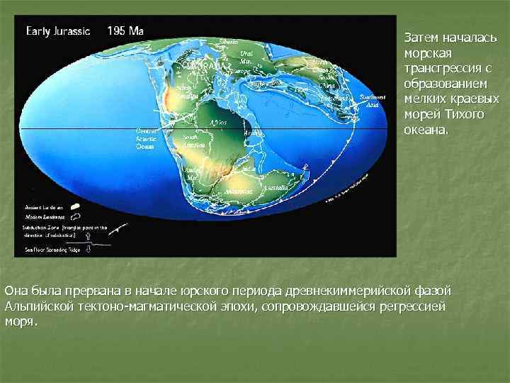 Затем началась морская трансгрессия с образованием мелких краевых морей Тихого океана. Она была прервана