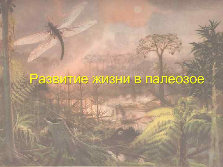 Развитие жизни в палеозое 