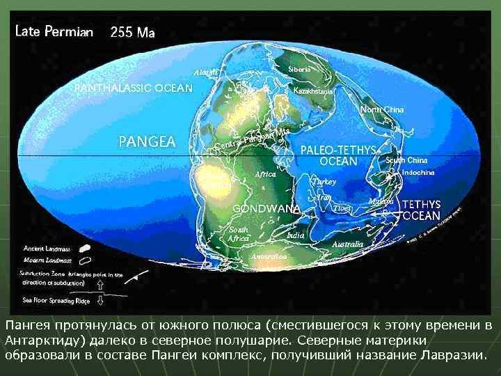 Пангея протянулась от южного полюса (сместившегося к этому времени в Антарктиду) далеко в северное