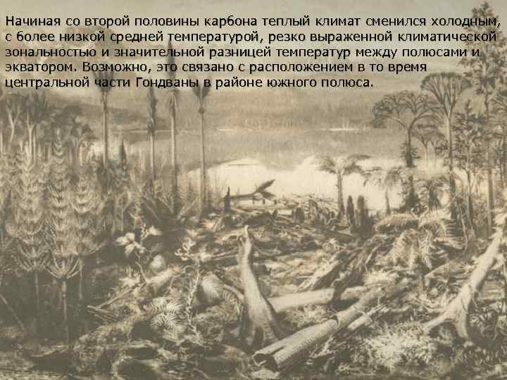 Начиная со второй половины карбона теплый климат сменился холодным, с более низкой средней температурой,