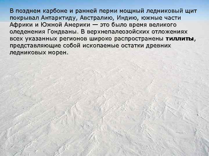 В позднем карбоне и ранней перми мощный ледниковый щит покрывал Антарктиду, Австралию, Индию, южные