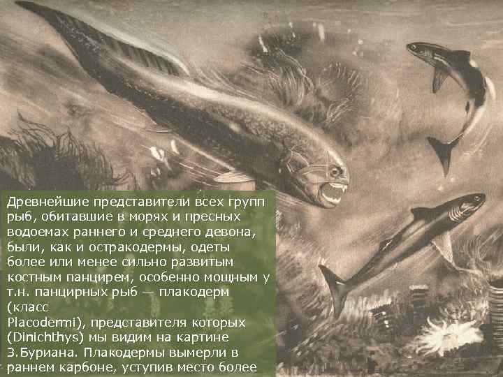 Древнейшие представители всех групп рыб, обитавшие в морях и пресных водоемах раннего и среднего