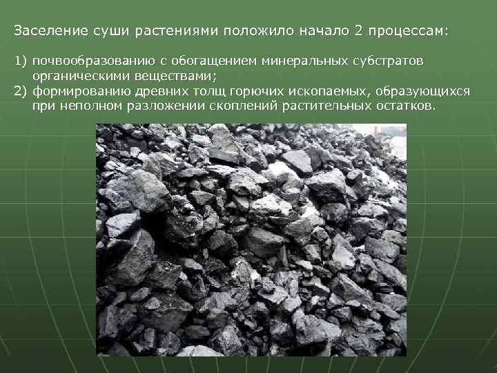 Заселение суши растениями положило начало 2 процессам: 1) почвообразованию с обогащением минеральных субстратов органическими
