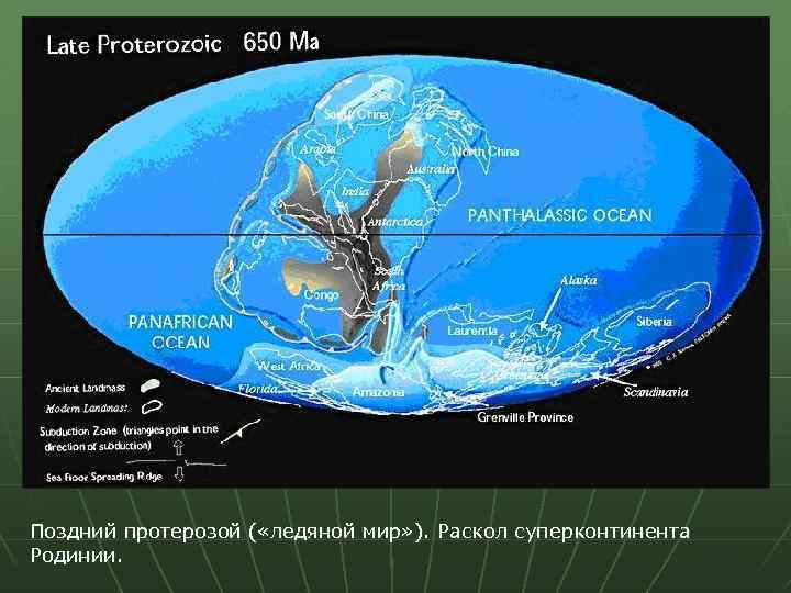 Поздний протерозой ( «ледяной мир» ). Раскол суперконтинента Родинии. 