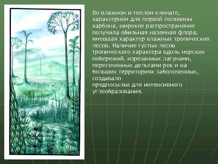 Во влажном и теплом климате, характерном для первой половины карбона, широкое распространение получила обильная