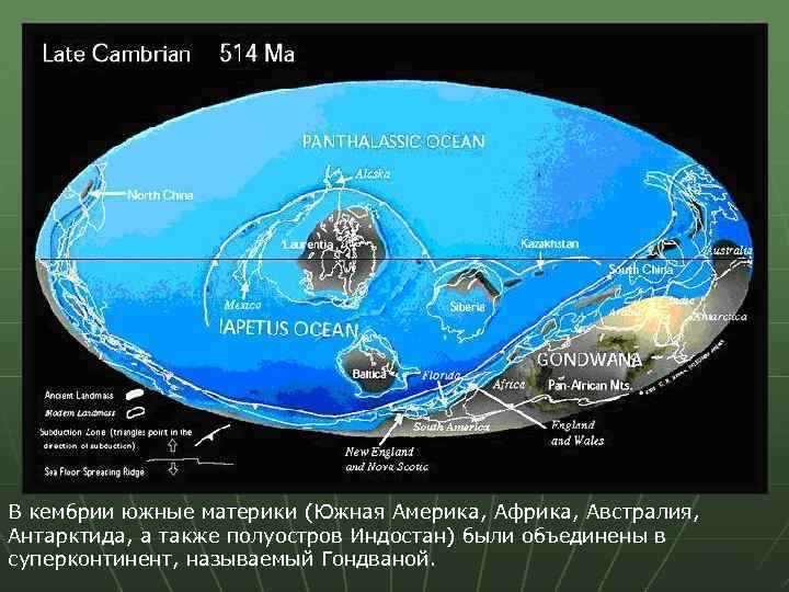 В кембрии южные материки (Южная Америка, Африка, Австралия, Антарктида, а также полуостров Индостан) были