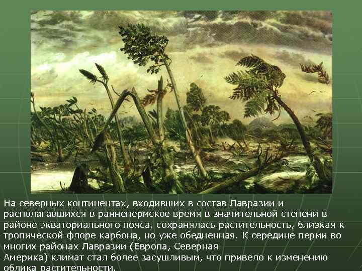 На северных континентах, входивших в состав Лавразии и располагавшихся в раннепермское время в значительной