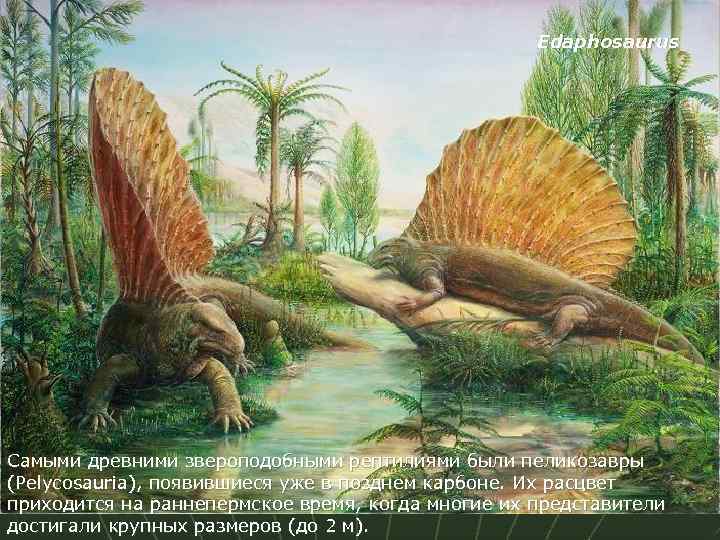 250 млн лет назад какой период. Пермский период палеозойской эры. Пермский период палеозойской эры животные. Динозавры палеозойской эры. Пермь период палеозойской эры животные.
