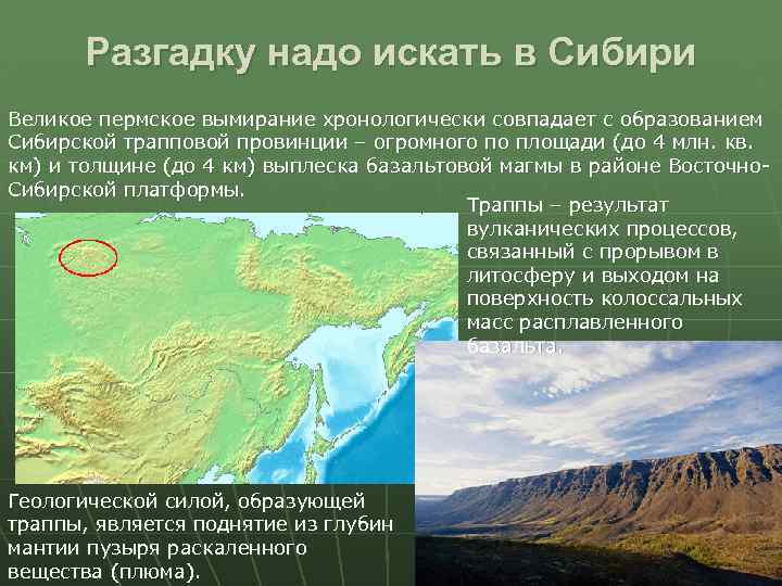 Разгадку надо искать в Сибири Великое пермское вымирание хронологически совпадает с образованием Сибирской трапповой