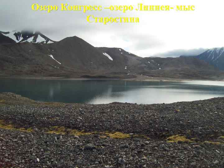 Озеро Конгресс –озеро Линнея- мыс Старостина 