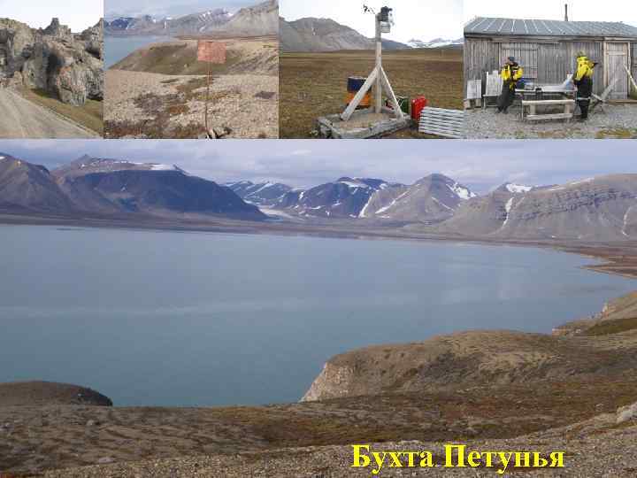 Бухта Петунья 