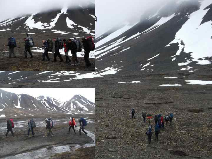 И снова отправились в путь… 