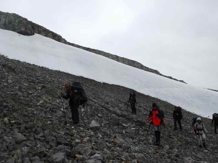 Забрались … 