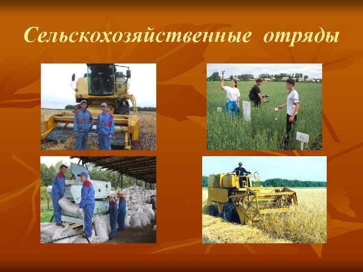 Сельскохозяйственные отряды 