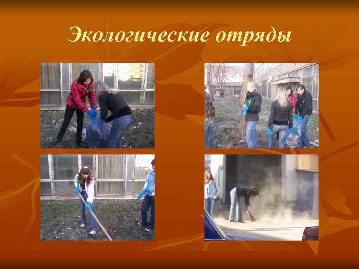 Экологические отряды 