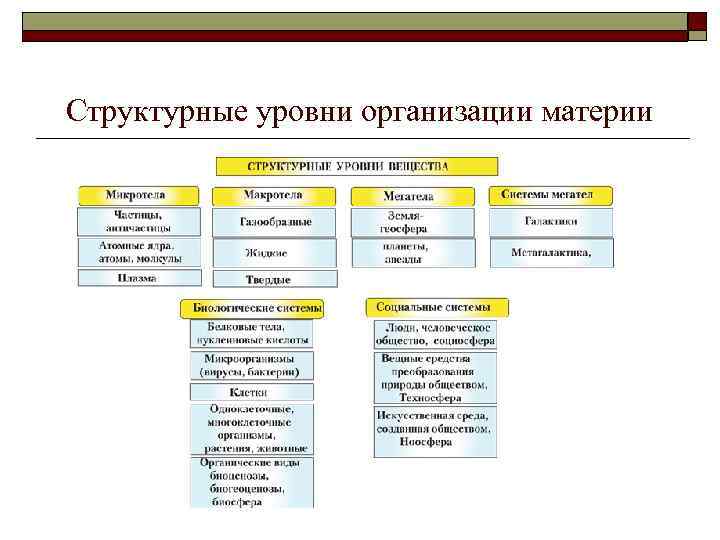 Структурные уровни организации материи 