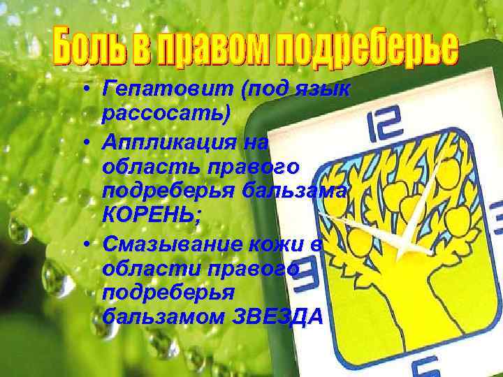 • Гепатовит (под язык рассосать) • Аппликация на область правого подреберья бальзама КОРЕНЬ;