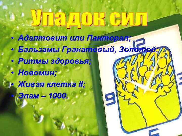  • • • Адаптовит или Панторал; Бальзамы Гранатовый, Золотой; Ритмы здоровья; Новомин; Живая