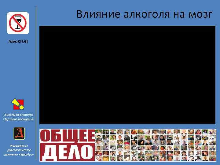 Влияние алкоголя на мозг Алко. СТОП Социальное агентство «Здоровье молодежи» Молодежное добровольческое движение «Декабрь»