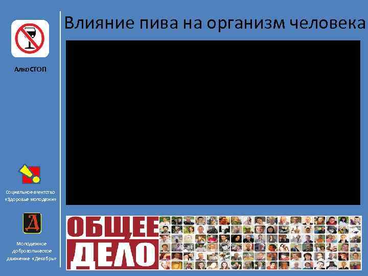 Влияние пива на организм человека Алко. СТОП Социальное агентство «Здоровье молодежи» Молодежное добровольческое движение