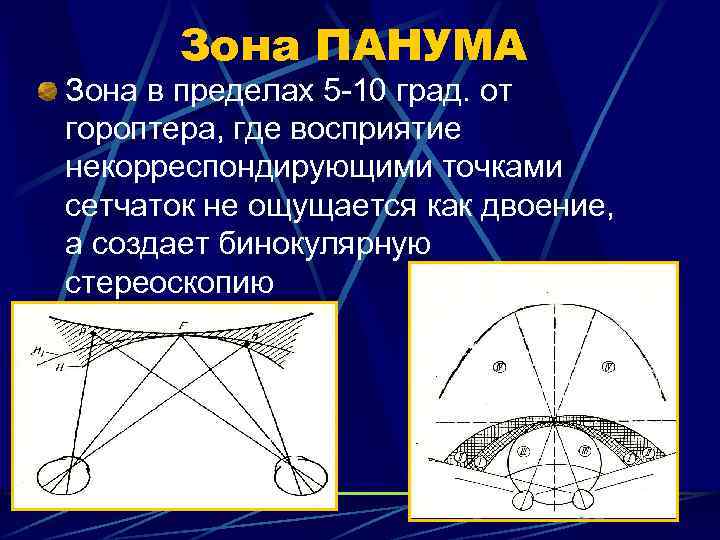 Зона ПАНУМА Зона в пределах 5 -10 град. от гороптера, где восприятие некорреспондирующими точками